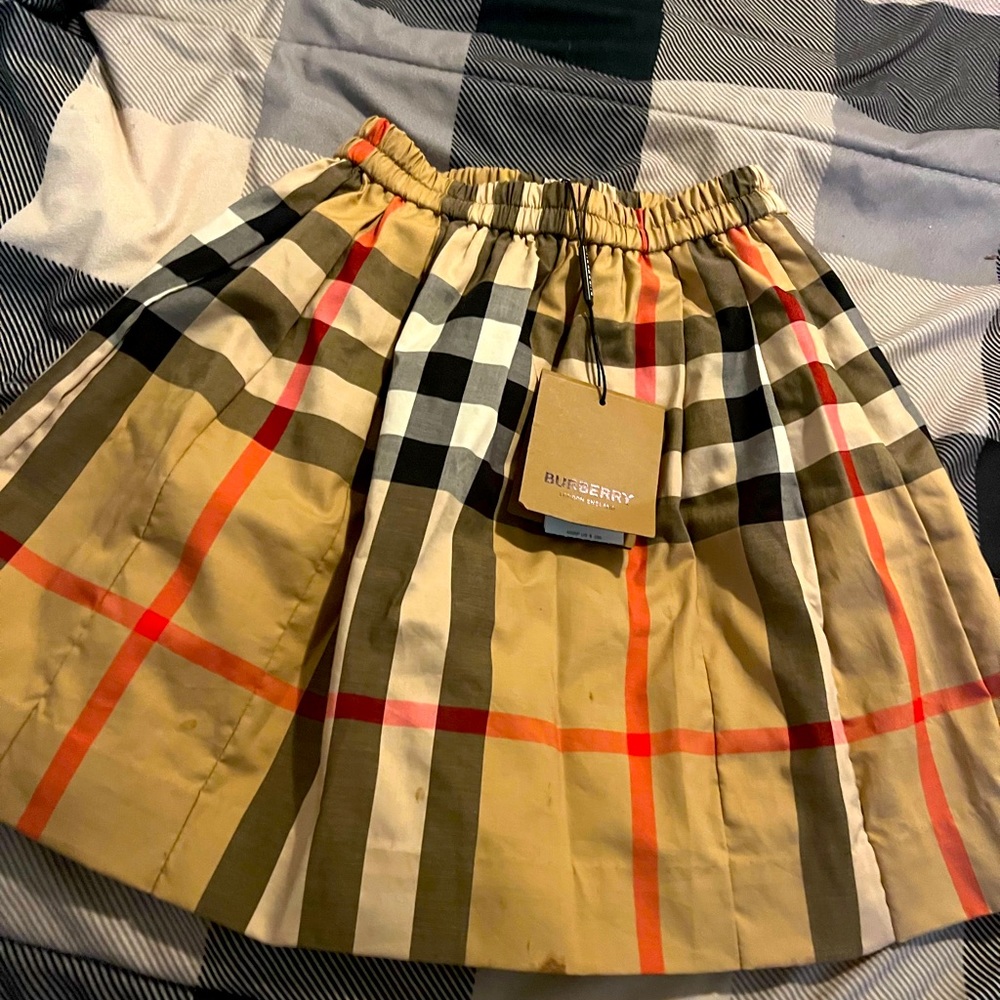 Burberry Skirt